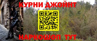 прущие грибы Нягань